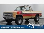Thumbnail Photo 0 for 1987 Chevrolet C/K Truck